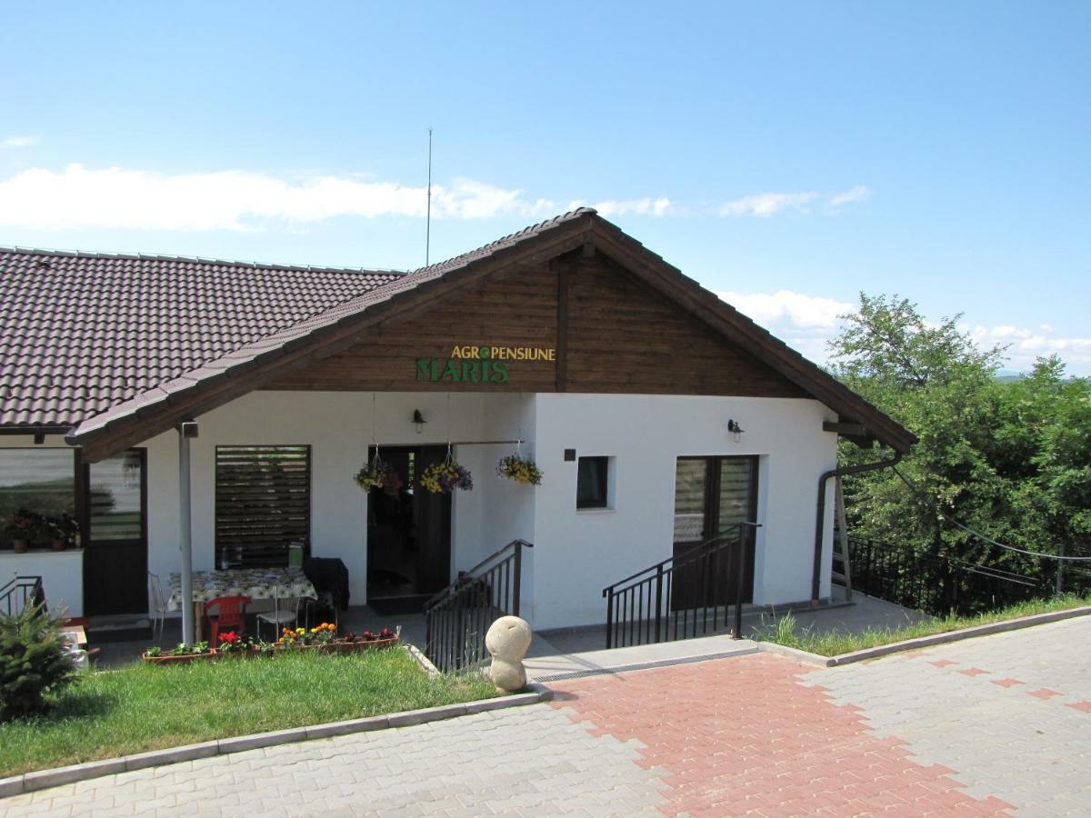 Agropensiunea Maris Erdőfelek Kültér fotó