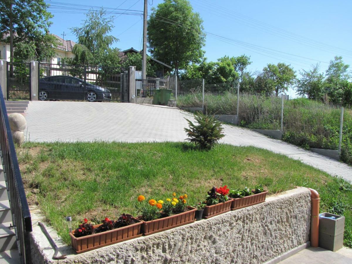 Agropensiunea Maris Erdőfelek Kültér fotó