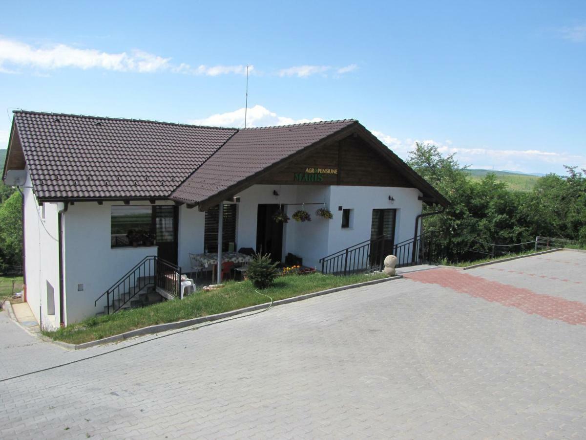Agropensiunea Maris Erdőfelek Kültér fotó